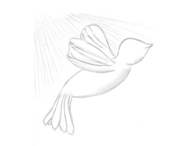 dessin oiseau blanc liberté
