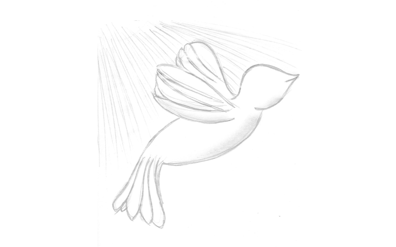 dessin oiseau blanc liberté